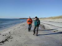 07 Gaatur ved stranden naer Thomas' foaerdres sommerhus.jpg